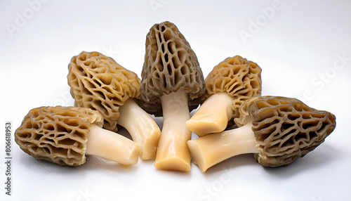 morel mushrooms on a white background photo