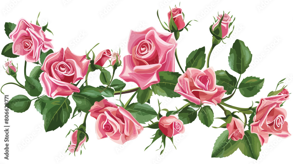 Pink roses design over white Vector illustration. vector