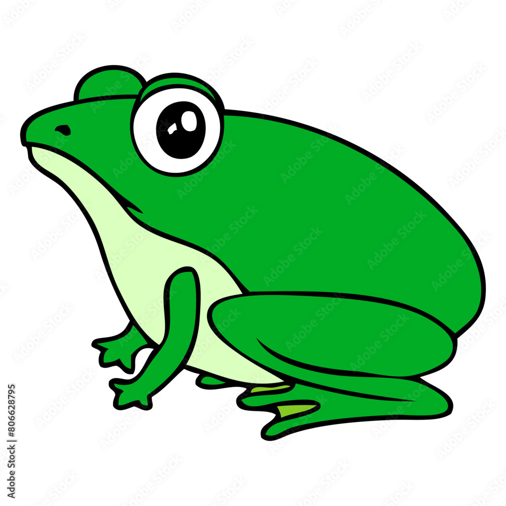 Fototapeta premium frog vector illustration