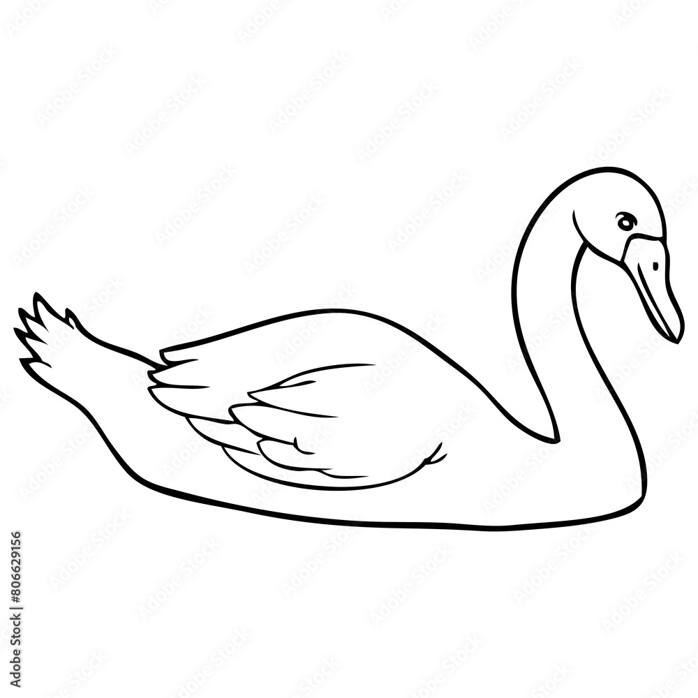 swan line vector illustration swan line vector illustration