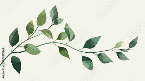 Plant branch with leaves Vector illustration. Vector