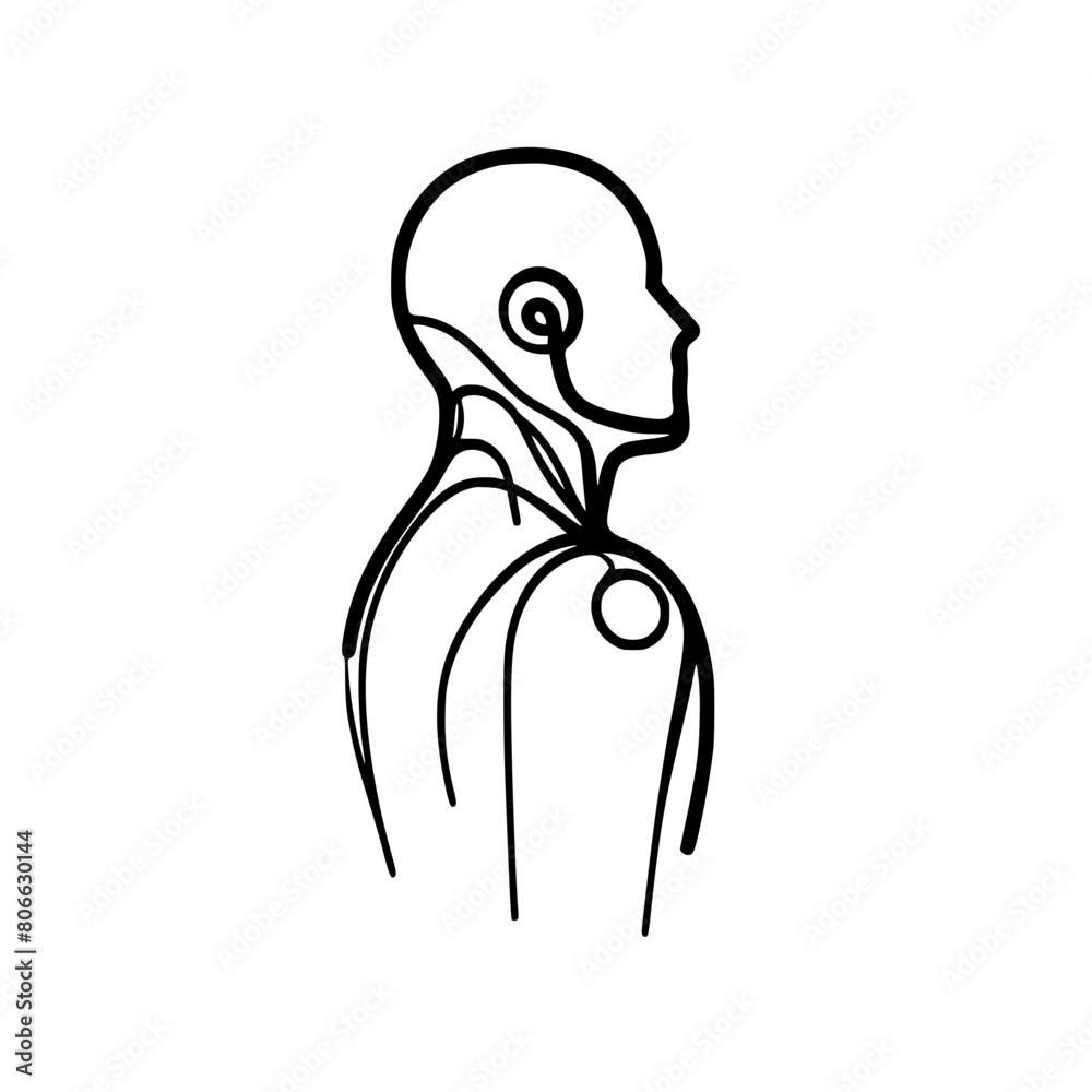 AI artificial intelligence and digital technology brain data robot conceptual.humanoid face line art.continuous line drawing AI artificial intelligence and digital technology brain data robot conceptual.humanoid face line art.continuous line drawing