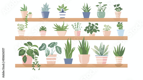 Set of houseplants in shelfs Vector illustration. vector © Ideas