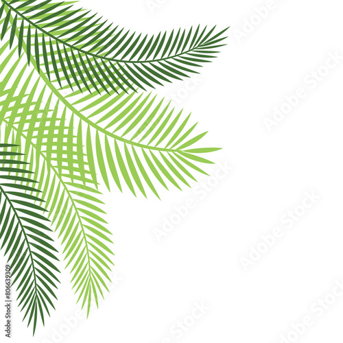 Palm Leaf Corner