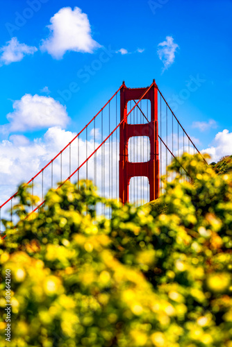 Red north tower of iconic Golden Gate Bridge seen from view point ”Battery Spencer“ on a clear sunny day with white clouds. The bridge tower stands out from  blurred colorful yellow-green foreground. photo