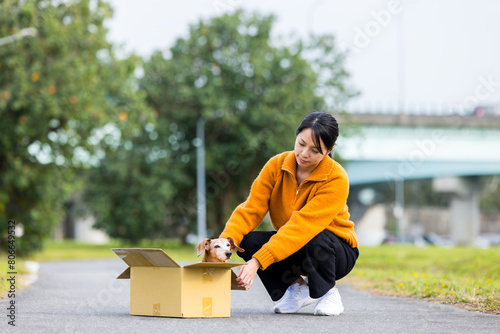Woman save a dog over the abandon paper box