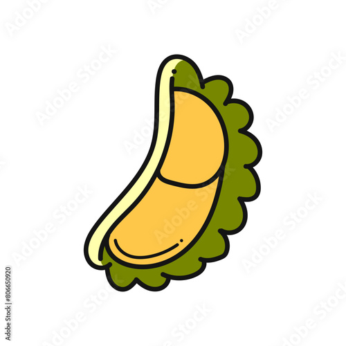 Durian fruit. Summer tropical fruits. Durian on white background. for poster, banner, web, icon, mascot, background. Hand drawn. Vector illustration