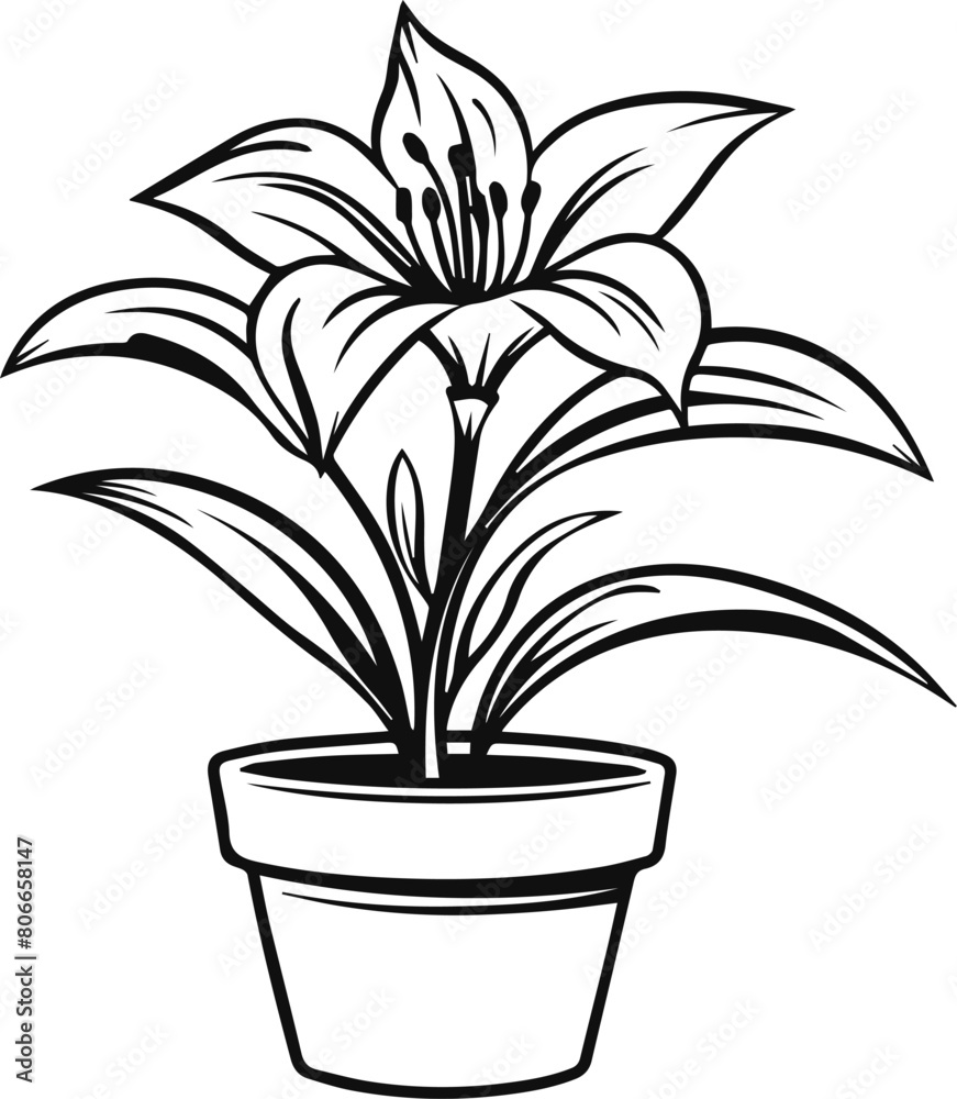 Lily flower in a pot vector silhouette Lily flower in a pot vector silhouette