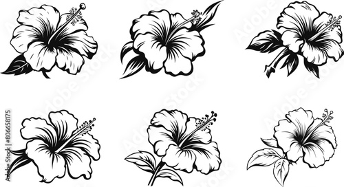 set of line art of a hibiscus, vector silhouette illustration