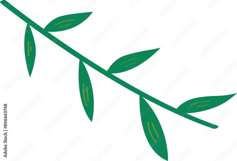 Fototapeta premium small green bamboo leaves
