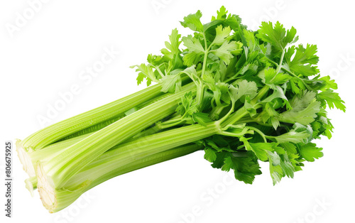 Embracing the White Isolation, Standing Alone on White Ground, Celery Spotlight
