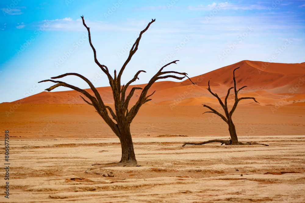 Namibia,Sossusvleisalt pan inNamib-NaukluftNational Park Namibia,Sossusvleisalt pan inNamib-NaukluftNational Park