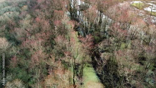 Flooded Forest Walking Trail at Winter, Nordic scene, Aerial View photo