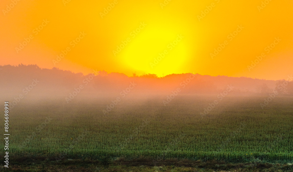 Red sunrise over the beautiful field and trees . Red clouds and sky with sun. Sun over the trees . Summer field at morning . Fog and sky . Beautiful landscape at summer with fog Red sunrise over the beautiful field and trees . Red clouds and sky with sun. Sun over the trees . Summer field at morning . Fog and sky . Beautiful landscape at summer with fog