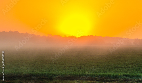 Red sunrise over the beautiful field and trees . Red clouds and sky with sun. Sun over the trees . Summer field at morning . Fog and sky . Beautiful landscape at summer with fog  © Александр Рябинин