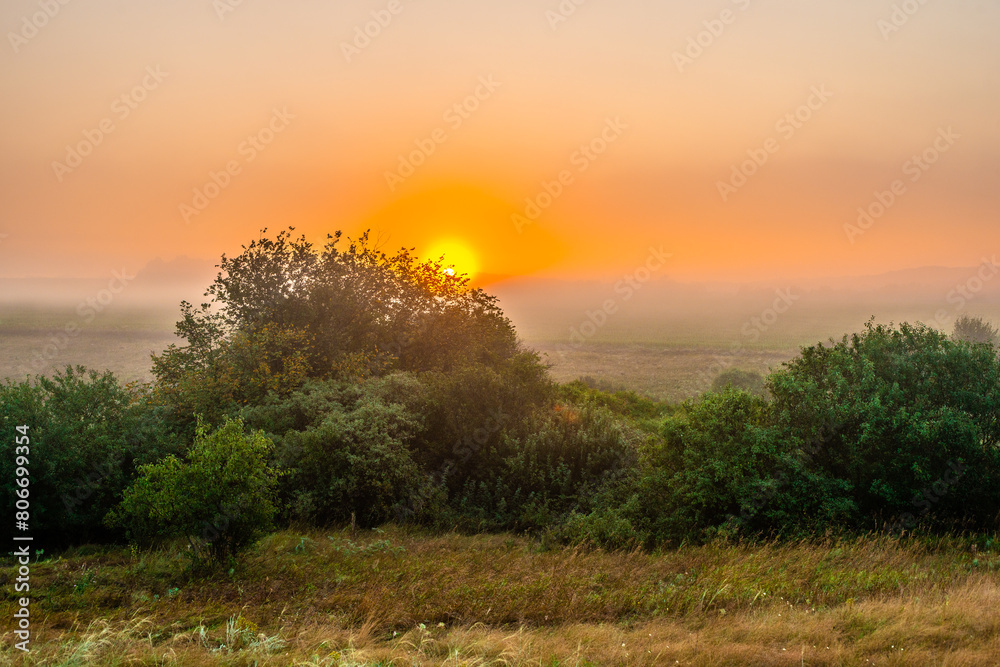 Red sunrise over the beautiful field and trees . Red clouds and sky with sun. Sun over the trees . Summer field at morning . Fog and sky . Beautiful landscape at summer with fog 