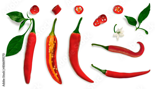 Red hot chili pepper, whole, half, pieces, slices with flower and leaves on an isolated transparent background. With a subtle shadow. Design element, decoration. Top view. Flat lay. PNG