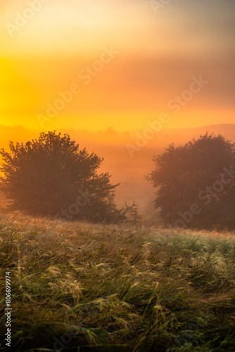 Red sunrise over the beautiful field and trees . Red clouds and sky with sun. Sun over the trees . Summer field at morning . Fog and sky . Beautiful landscape at summer with fog  © Александр Рябинин