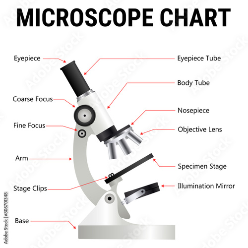 Microscope vector diagram, Realistic microscope, pharmaceutical instrument, microbiology magnifying tool. Symbol of science, chemistry, and exploration. Vector lab microscope
