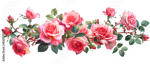 Beautiful bouquet of pink and white Hybrid tea roses on a white background © Kseniya