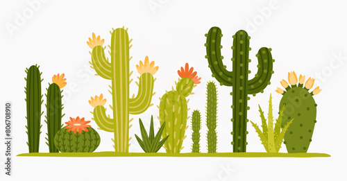 2403 m10 S ST Mexican desert cactus.eps photo