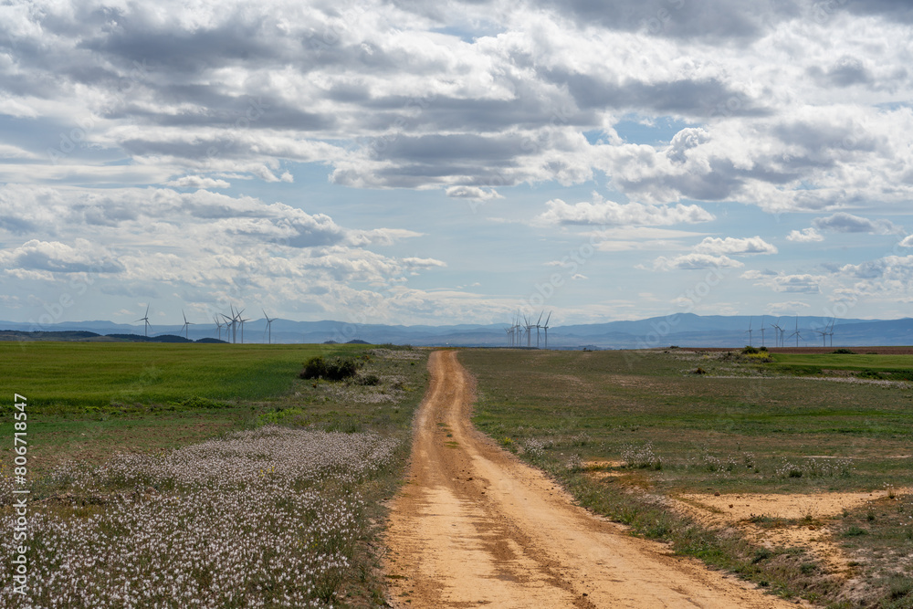 Obraz premium landscape with road and wind turbines farm