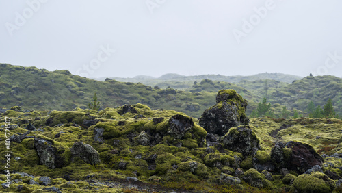 Mystic mossy landscape on iceland in summer photo