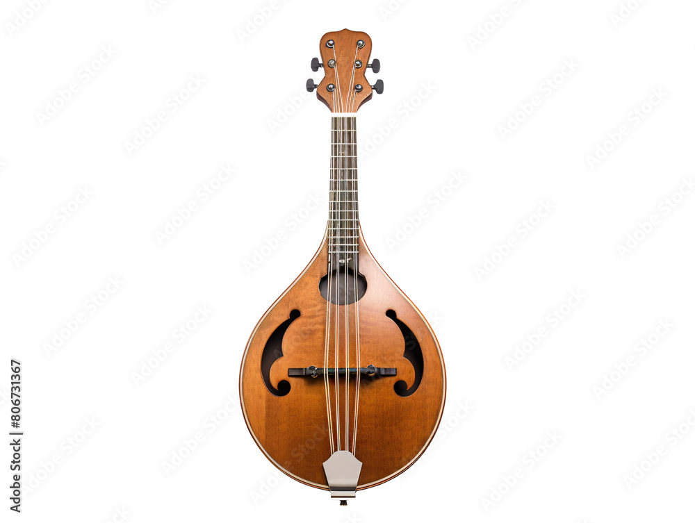 a close up of a stringed instrument