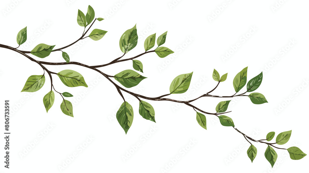 Branches with leaves isolated icon Vector illustration