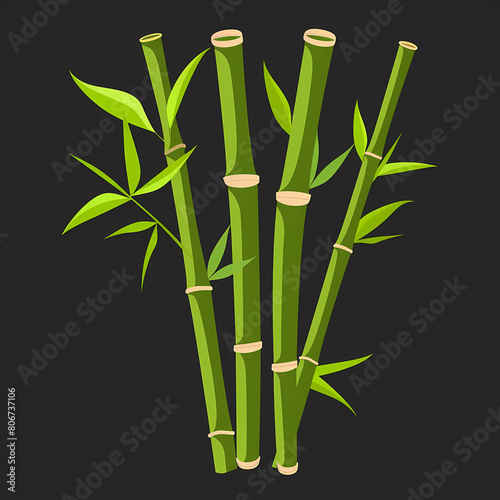 bamboo, plant, growth, cartoon, illustration