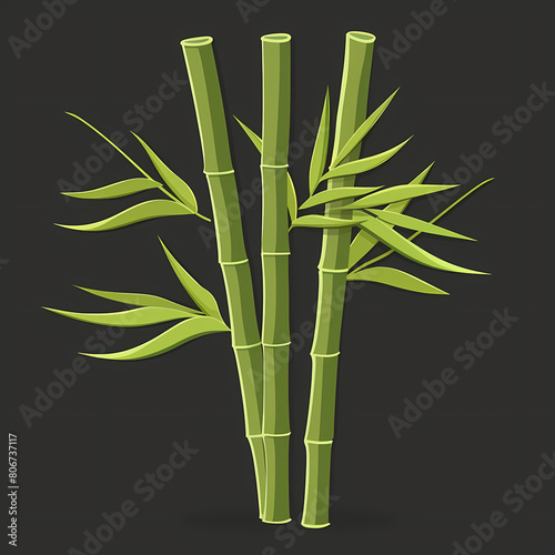 bamboo  plant  growth  cartoon  illustration