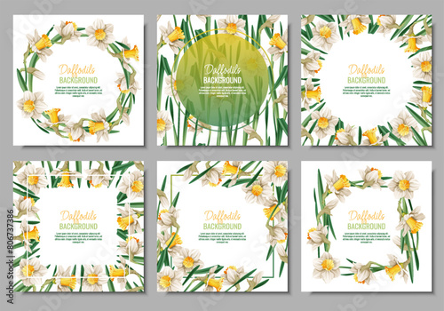 Set of Spring background with daffodils. Postcard, banner for Easter. Spring time. Frame with delicate spring flowers.