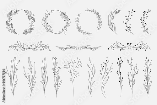 Elegant botanical decoration. Minimalist floral frame and monogram border, organic wreath and circle ornamental elements. Vector isolated set. Plants blossom, outlined dividers and wreath