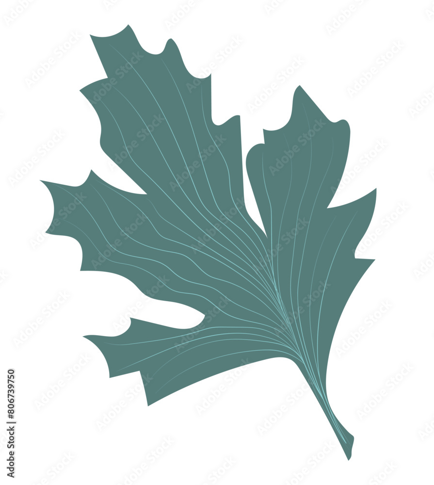 Fototapeta premium Abstract green oak leaf in flat design. Simple forest tree foliage. Vector illustration isolated.