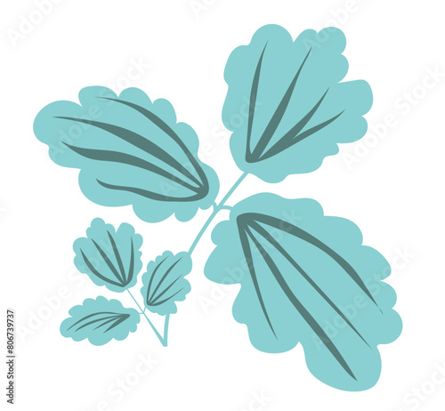 Abstract plantain leaves in flat design. Greenery branch, herbal foliage. Vector illustration isolated.
