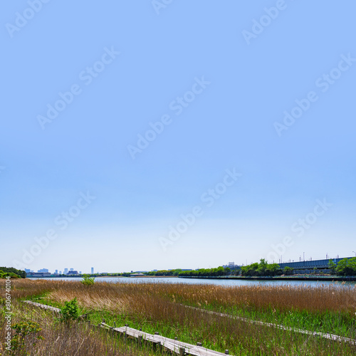 谷津干潟 （ やつひがた ）は 京葉線 南船橋駅 から徒歩10分の 干潟 【 ふなばし の 風景 】