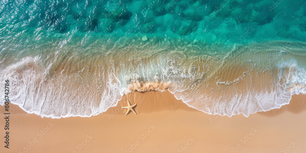 A beach with a starfish on the sand