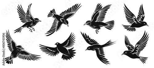 Flying birds vector illustration. Bird fly hand drawn black on white background. Animal silhouette.