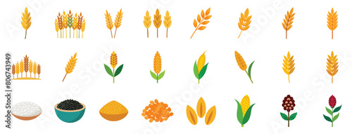 Collection of Grain and Cereal Icons, vector flat cartoon illustration - wheat, corn, oats, barley, rye, rice, quinoa and others.