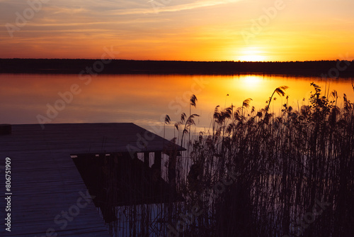 A lake with reed at sunset, evening landscape with reeds against the sunset background © Leka