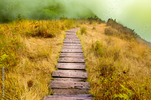 Mountain walkway covered by sea of ​​mist at Kew Mae Pan Nature Trail within Doi Inthanon National Park photo