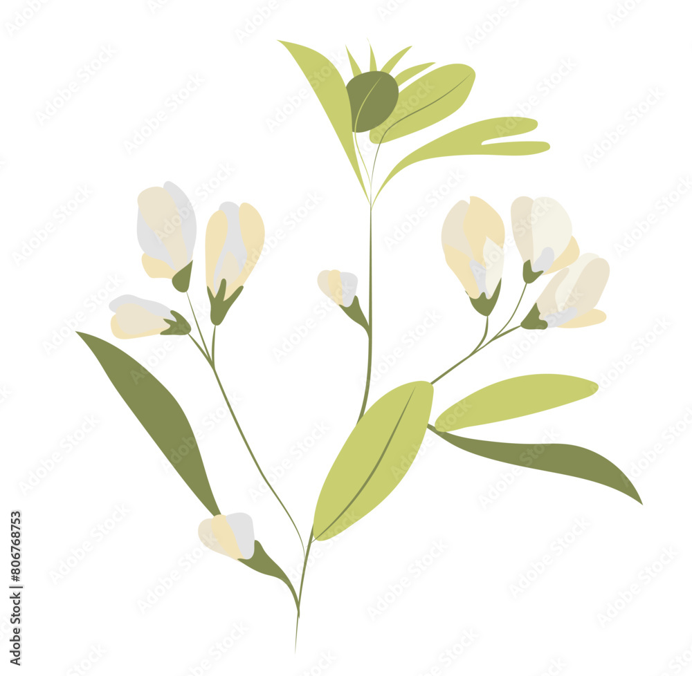 Fototapeta premium Abstract white pea flowers on twig in flat design. Blooming summer plant. Vector illustration isolated.