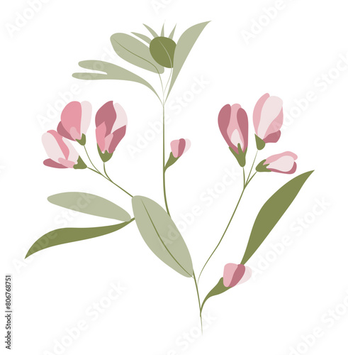 Abstract pink pea flower on twig in flat design. Blooming plant branch. Vector illustration isolated.