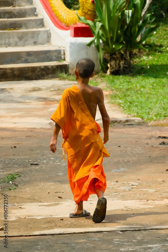 Walk towards Awakening: A Little Monk on the Path to the Temple
