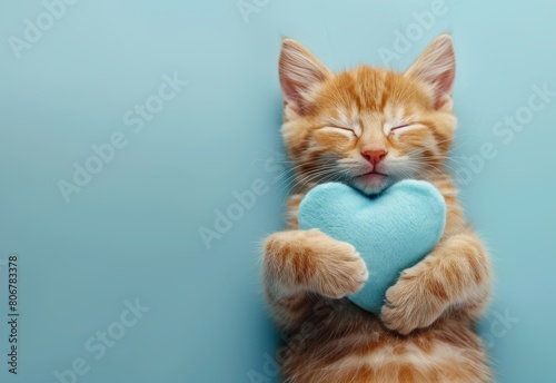 Juvenile ginger kitten blissfully hugging a blue heart-shaped pillow with eyes closed on a blue backdrop