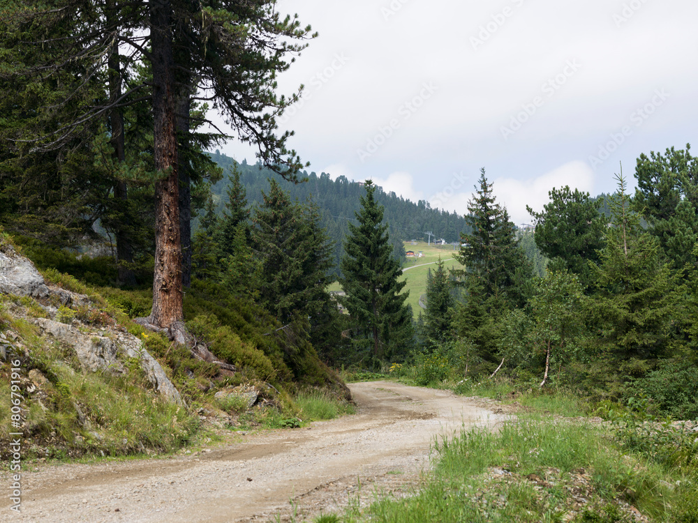 Fototapeta premium Dirt road