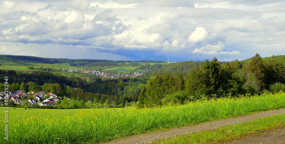 herrliches Panorama im Schwarzwald vom Höhenweg  auf Wald und grüne Wiesen unter weißen Wolken