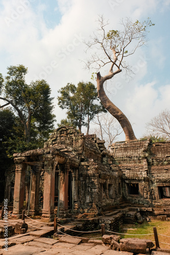 Greenery Adorning Ancient Structures at Angkor Wat Temple, Cambodia