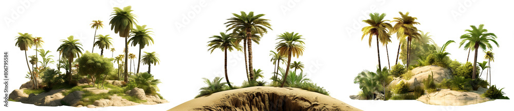 Set of picturesque palm islands, cut out Set of picturesque palm islands, cut out