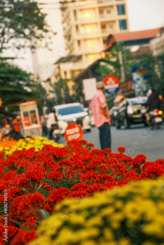 Bokeh of Red and Yellow Flowers Amidst Phnom Penh's Urban Bustle